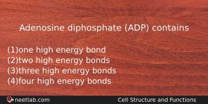 Adenosine Diphosphate Adp Contains Biology Question