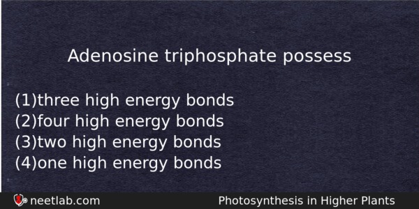 Adenosine Triphosphate Possess Biology Question 