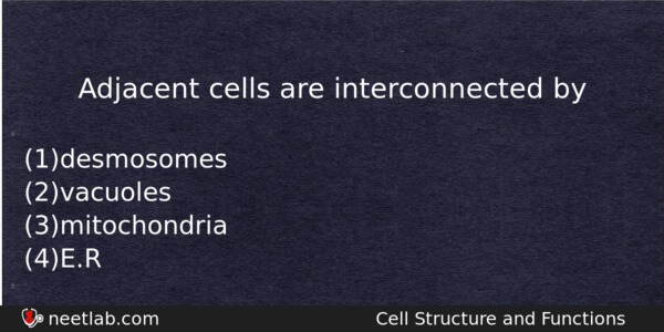 Adjacent Cells Are Interconnected By Biology Question 