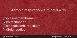 Aerobic Respiration Is Related With Biology Question