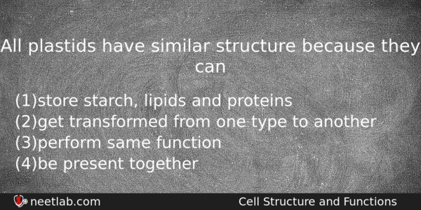 All Plastids Have Similar Structure Because They Can Biology Question 