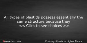 All Types Of Plastids Possess Essentially The Same Structure Because Biology Question