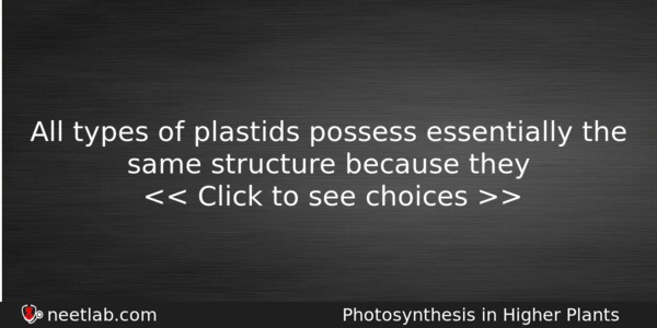 All Types Of Plastids Possess Essentially The Same Structure Because Biology Question 