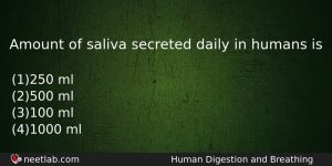 Amount Of Saliva Secreted Daily In Humans Is Biology Question