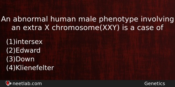 An Abnormal Human Male Phenotype Involving An Extra X Chromosomexxy Biology Question 