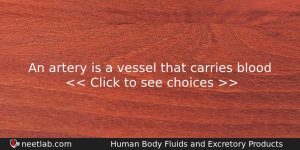 An Artery Is A Vessel That Carries Blood Biology Question