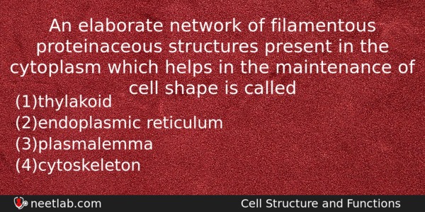 An Elaborate Network Of Filamentous Proteinaceous Structures Present In The Biology Question 
