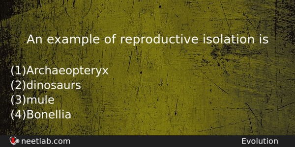 An Example Of Reproductive Isolation Is Biology Question 
