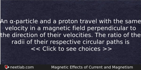 An Particle And A Proton Travel With The Same Velocity Physics Question 