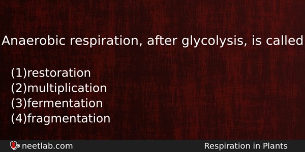 Anaerobic Respiration After Glycolysis Is Called Biology Question 