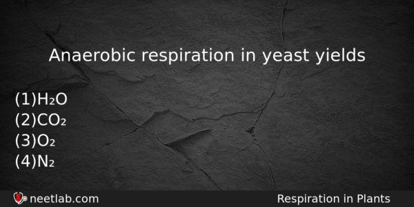 Anaerobic Respiration In Yeast Yields Biology Question 