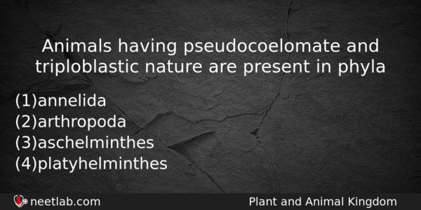Animals Having Pseudocoelomate And Triploblastic Nature Are Present In Phyla Biology Question 