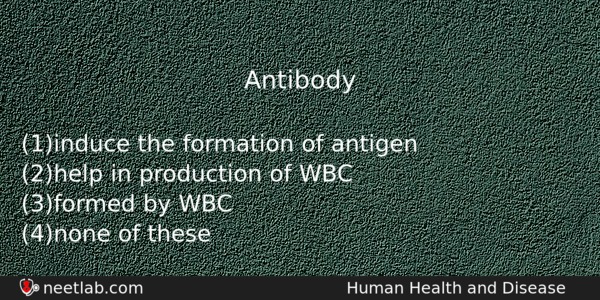 Antibody Biology Question 