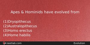 Apes Hominids Have Evolved From Biology Question