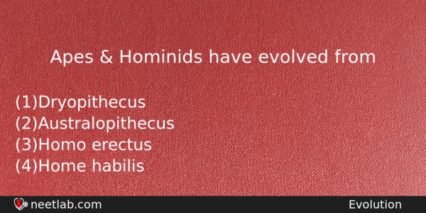 Apes Hominids Have Evolved From Biology Question 