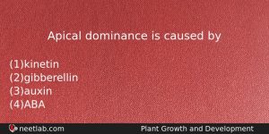 Apical Dominance Is Caused By Biology Question