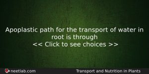 Apoplastic Path For The Transport Of Water In Root Is Biology Question