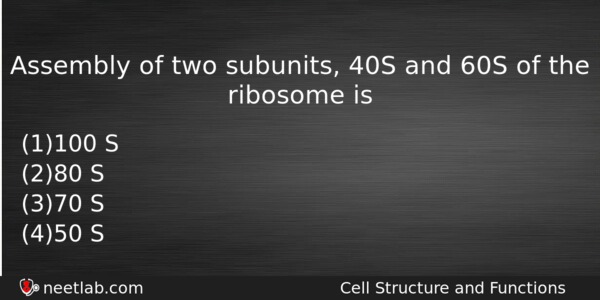 Assembly Of Two Subunits 40s And 60s Of The Ribosome Biology Question 