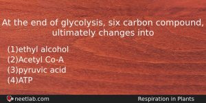 At The End Of Glycolysis Six Carbon Compound Ultimately Changes Biology Question