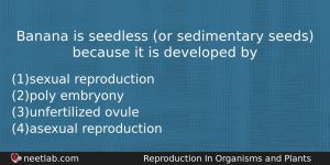 Banana Is Seedless Or Sedimentary Seeds Because It Is Developed Biology Question