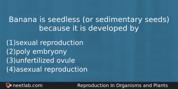 Banana Is Seedless Or Sedimentary Seeds Because It Is Developed Biology Question 