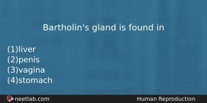 Bartholins Gland Is Found In Biology Question