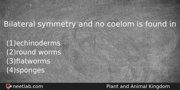 Bilateral Symmetry And No Coelom Is Found In Biology Question 