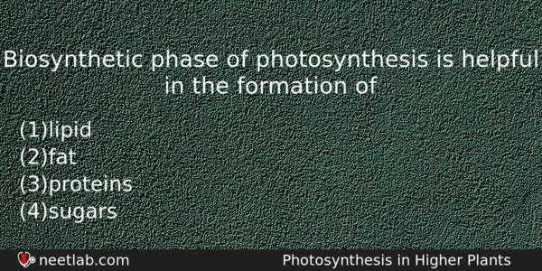 Biosynthetic Phase Of Photosynthesis Is Helpful In The Formation Of Biology Question 