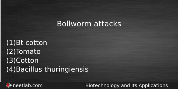 Bollworm Attacks Biology Question 