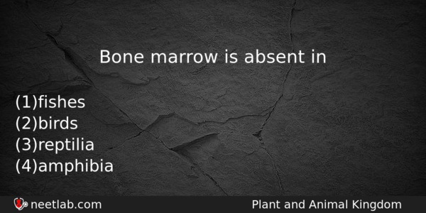 Bone Marrow Is Absent In Biology Question 
