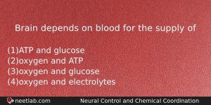 Brain Depends On Blood For The Supply Of Biology Question