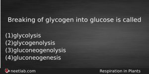 Breaking Of Glycogen Into Glucose Is Called Biology Question