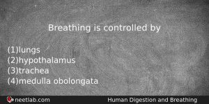 Breathing Is Controlled By Biology Question