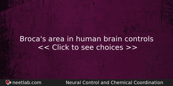 Brocas Area In Human Brain Controls Biology Question 