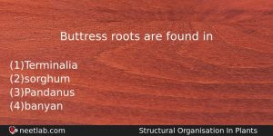 Buttress Roots Are Found In Biology Question