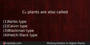 C Plants Are Also Called Biology Question