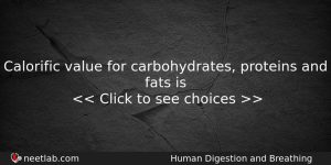 Calorific Value For Carbohydrates Proteins And Fats Is Biology Question