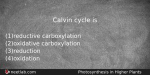 Calvin Cycle Is Biology Question
