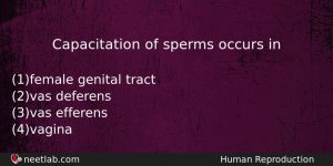 Capacitation Of Sperms Occurs In Biology Question