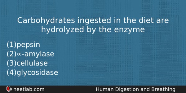 Carbohydrates Ingested In The Diet Are Hydrolyzed By The Enzyme Biology Question 