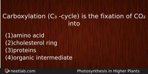 Carboxylation C Cycle Is The Fixation Of Co Into Biology Question