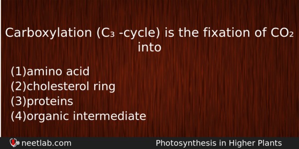 Carboxylation C Cycle Is The Fixation Of Co Into Biology Question 