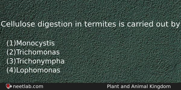 Cellulose Digestion In Termites Is Carried Out By Biology Question 