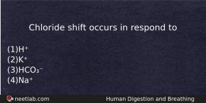 Chloride Shift Occurs In Respond To Biology Question