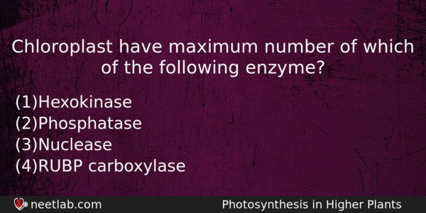 Chloroplast Have Maximum Number Of Which Of The Following Enzyme Biology Question 