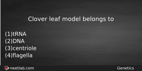 Clover Leaf Model Belongs To Biology Question 