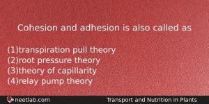 Cohesion And Adhesion Is Also Called As Biology Question