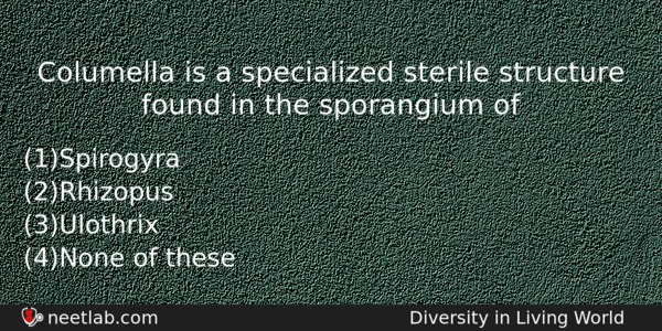 Columella Is A Specialized Sterile Structure Found In The Sporangium Biology Question 