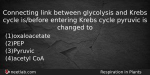 Connecting Link Between Glycolysis And Krebs Cycle Isbefore Entering Krebs Biology Question