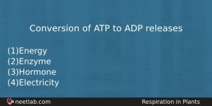 Conversion Of Atp To Adp Releases Biology Question
